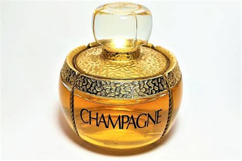 macys yves saint laurent|champagne by yves saint laurent.